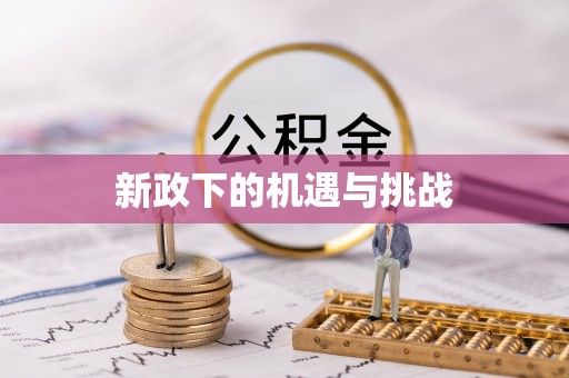 燕巢新政下的机遇与挑战