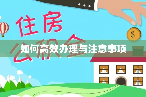 燕巢如何高效办理与注意事项