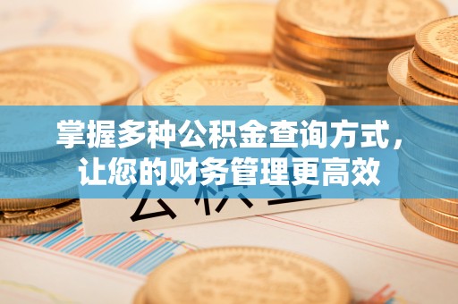燕巢掌握多种公积金查询方式，让您的财务管理更高效