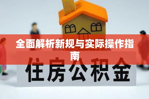 燕巢全面解析新规与实际操作指南