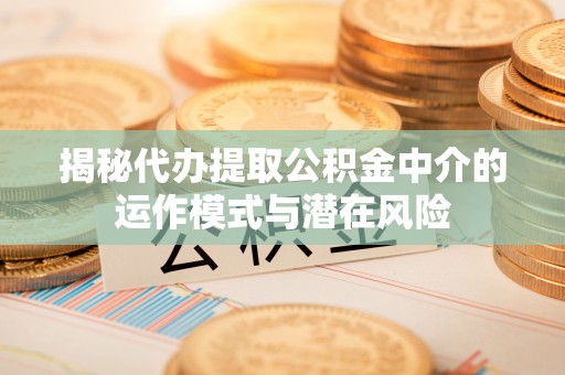燕巢揭秘代办提取公积金中介的运作模式与潜在风险
