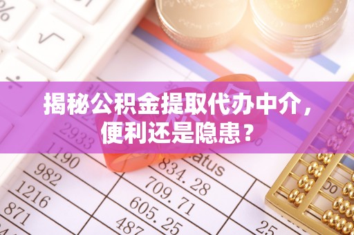 燕巢揭秘公积金提取代办中介，便利还是隐患？