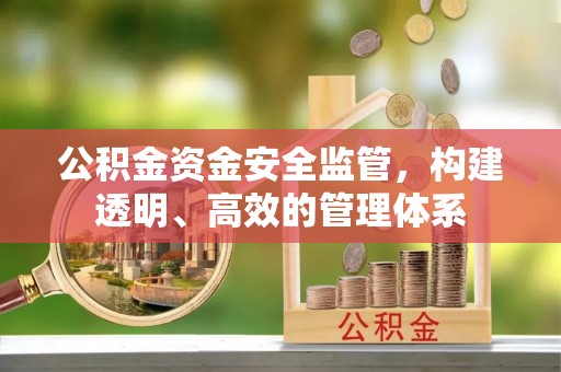 燕巢公积金资金安全监管，构建透明、高效的管理体系