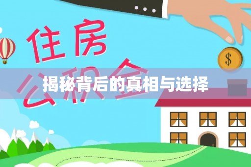 燕巢揭秘背后的真相与选择