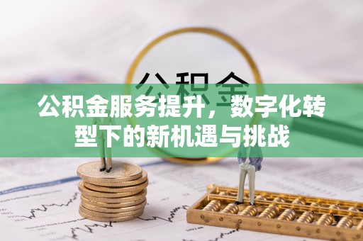燕巢公积金服务提升，数字化转型下的新机遇与挑战