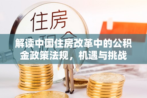 燕巢解读中国住房改革中的公积金政策法规，机遇与挑战