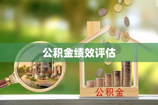 燕巢公积金绩效评估