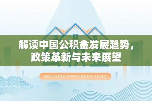 燕巢解读中国公积金发展趋势，政策革新与未来展望