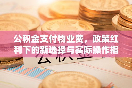 燕巢公积金支付物业费，政策红利下的新选择与实际操作指南