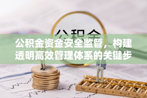 燕巢公积金资金安全监管，构建透明高效管理体系的关键步骤
