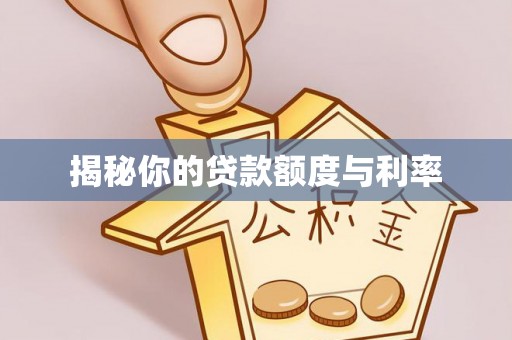 燕巢揭秘你的贷款额度与利率