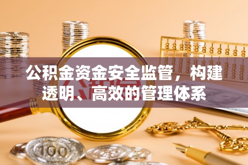 燕巢公积金资金安全监管，构建透明、高效的管理体系