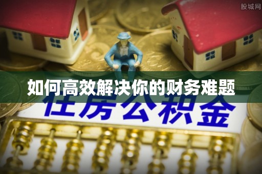 燕巢如何高效解决你的财务难题