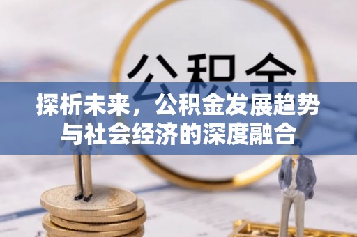 燕巢探析未来，公积金发展趋势与社会经济的深度融合