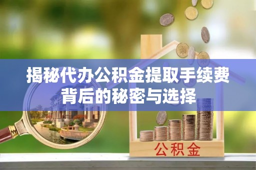 燕巢揭秘代办公积金提取手续费背后的秘密与选择