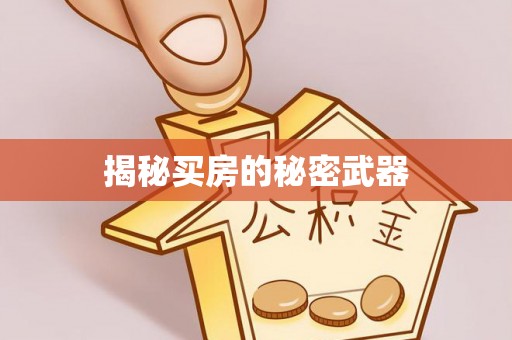 燕巢揭秘买房的秘密武器