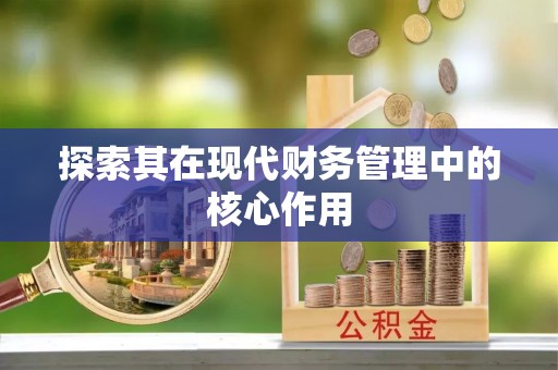燕巢探索其在现代财务管理中的核心作用