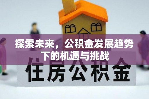 燕巢探索未来，公积金发展趋势下的机遇与挑战
