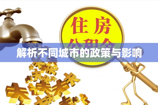 燕巢解析不同城市的政策与影响