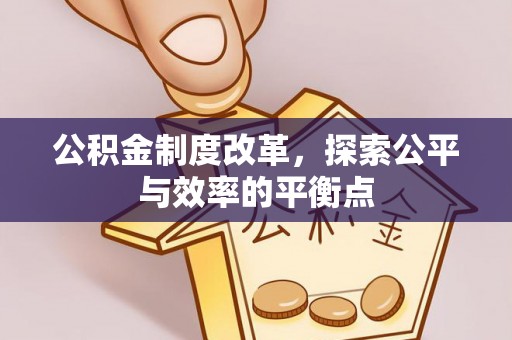 燕巢公积金制度改革，探索公平与效率的平衡点