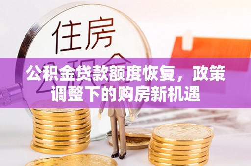 燕巢公积金贷款额度恢复，政策调整下的购房新机遇