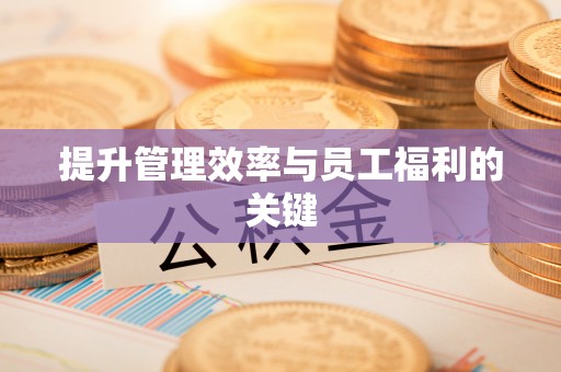 燕巢提升管理效率与员工福利的关键