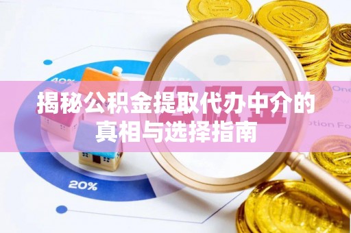 燕巢揭秘公积金提取代办中介的真相与选择指南