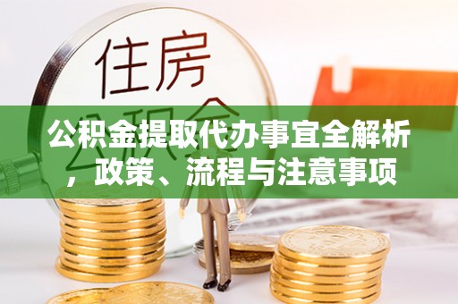 燕巢公积金提取代办事宜全解析，政策、流程与注意事项