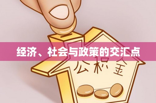 燕巢经济、社会与政策的交汇点