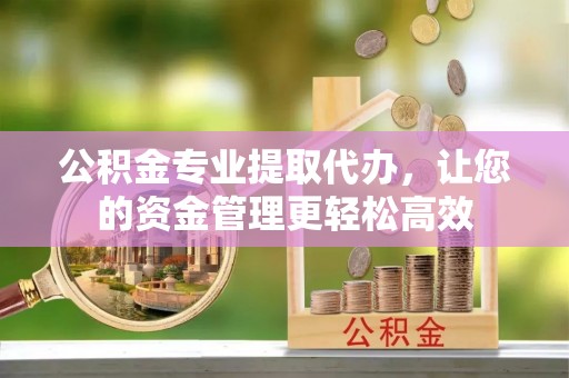 燕巢公积金专业提取代办，让您的资金管理更轻松高效