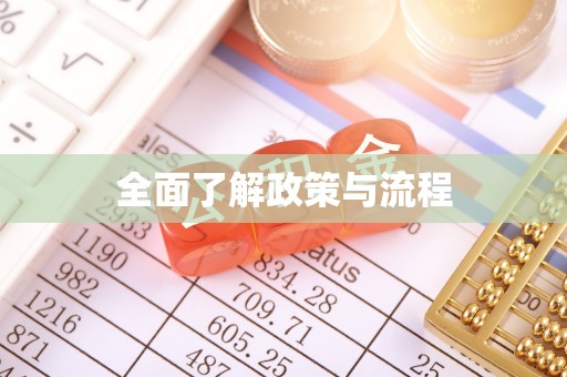 燕巢全面了解政策与流程
