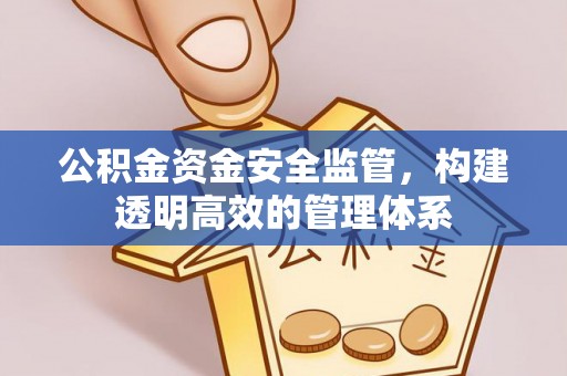 燕巢公积金资金安全监管，构建透明高效的管理体系