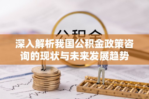 燕巢深入解析我国公积金政策咨询的现状与未来发展趋势