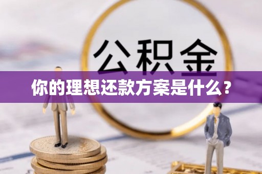 燕巢你的理想还款方案是什么？