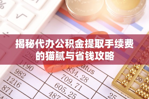 燕巢揭秘代办公积金提取手续费的猫腻与省钱攻略