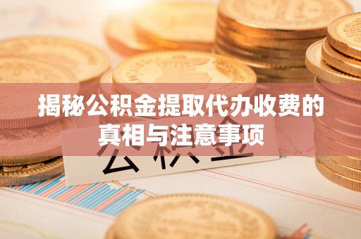 燕巢揭秘公积金提取代办收费的真相与注意事项