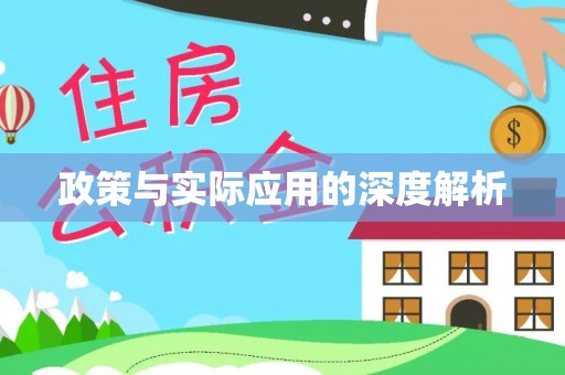 燕巢政策与实际应用的深度解析