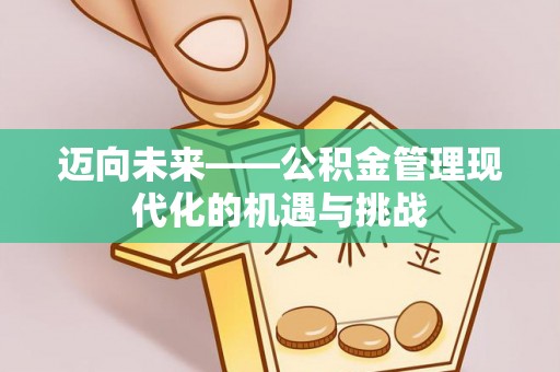 燕巢迈向未来——公积金管理现代化的机遇与挑战