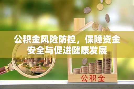 燕巢公积金风险防控，保障资金安全与促进健康发展