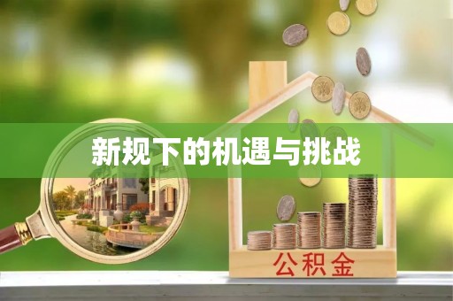 燕巢新规下的机遇与挑战