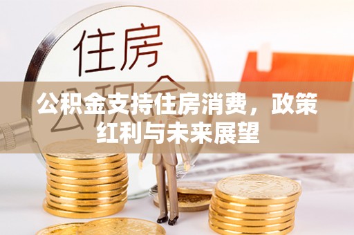 燕巢公积金支持住房消费，政策红利与未来展望