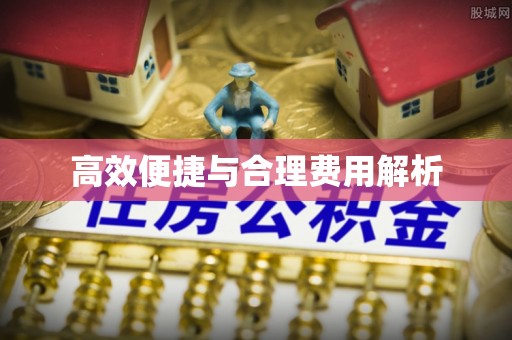 燕巢高效便捷与合理费用解析