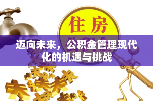 燕巢迈向未来，公积金管理现代化的机遇与挑战