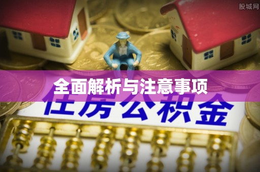 燕巢全面解析与注意事项