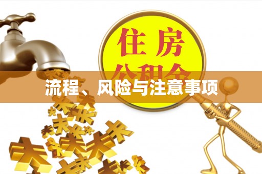 燕巢流程、风险与注意事项